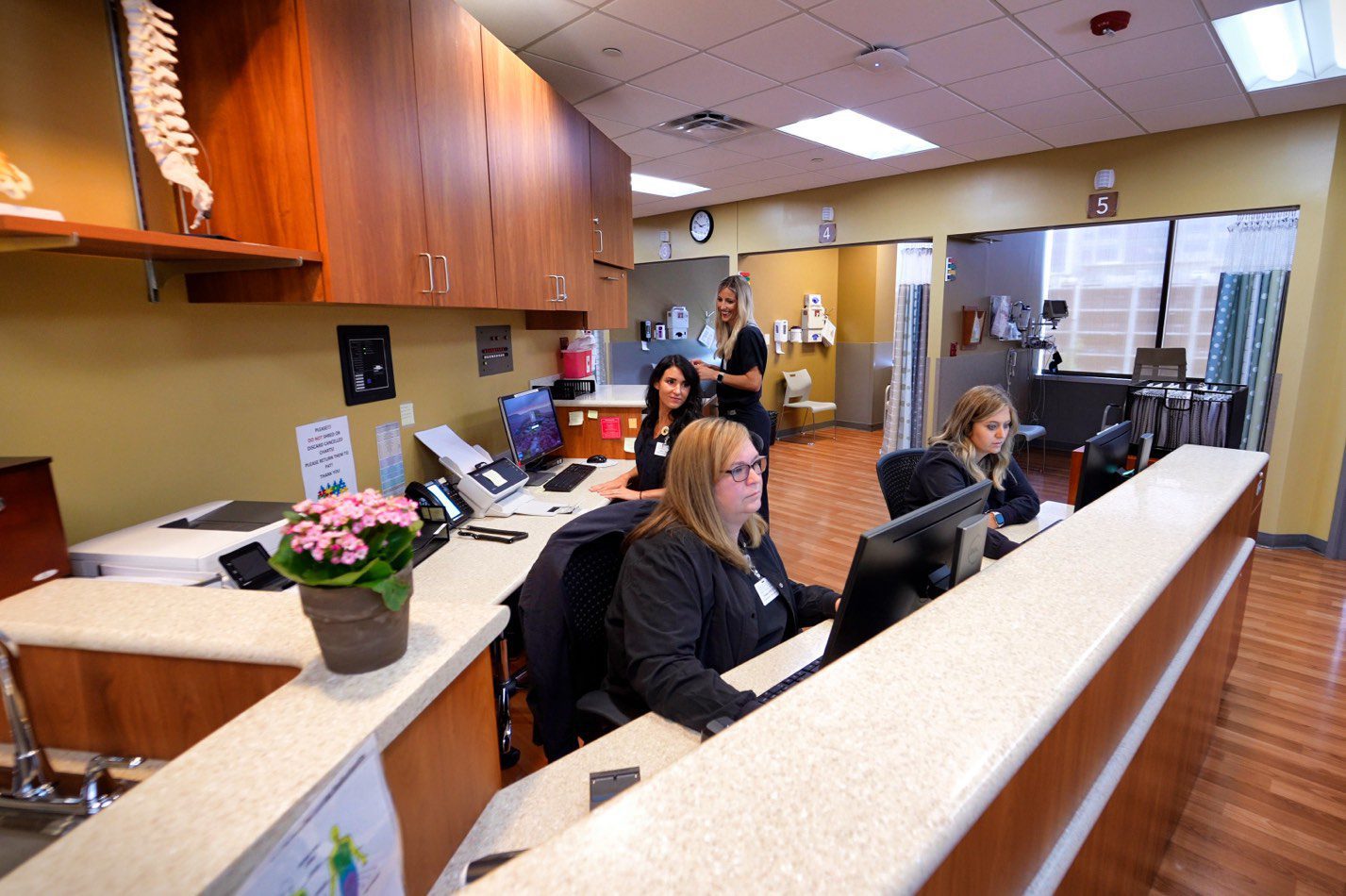 a team of physical medicine and rehabilitation experts working at their work stations